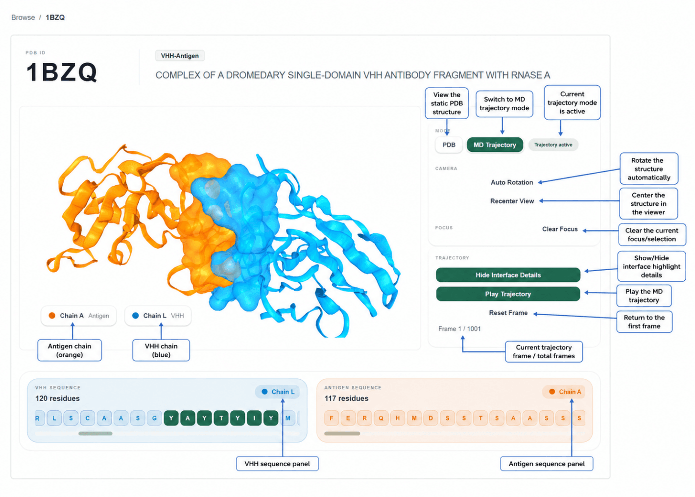 DynoDB details page structure viewer and chain sequence track